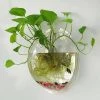 Boogzel Apparel Aquarium Wall Plant Holder Home Decor