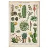 Boogzel Apparel Cacti And Succulents Vintage Poster