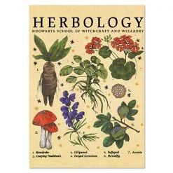 Boogzel Apparel Home Decor Herbology Vintage Poster