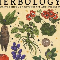 Boogzel Apparel Home Decor Herbology Vintage Poster