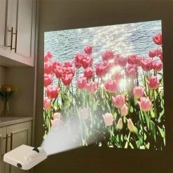 Boogzel Apparel Home Decor 5 Styles Shimmering Water Projector Light