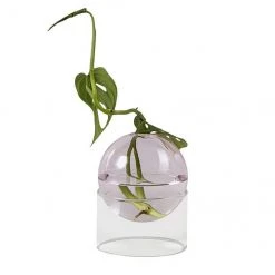 Boogzel Apparel Mini Spherical Glass Vase Home Decor