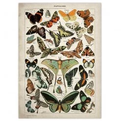 Boogzel Apparel COTTAGECORE / ARTSY Butterfly Vintage Poster