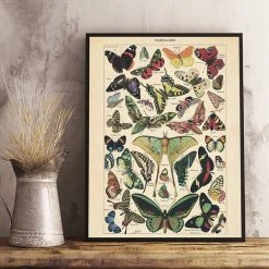 Boogzel Apparel COTTAGECORE / ARTSY Butterfly Vintage Poster
