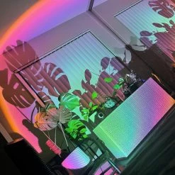 Boogzel Apparel 12 Colors Sunset Projector
