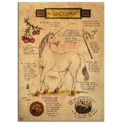 Boogzel Apparel Home Decor Magical Creatures Canvas Poster 8 Boogzel Apparel Home Decor Magical Creatures Canvas Poster