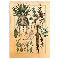 Boogzel Apparel Home Decor Mandrake Vintage Poster