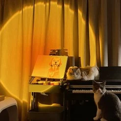 Boogzel Apparel The Sunset Projector